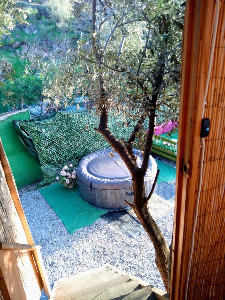 Treehouse ,Casa Arbol, with Spa photo 2