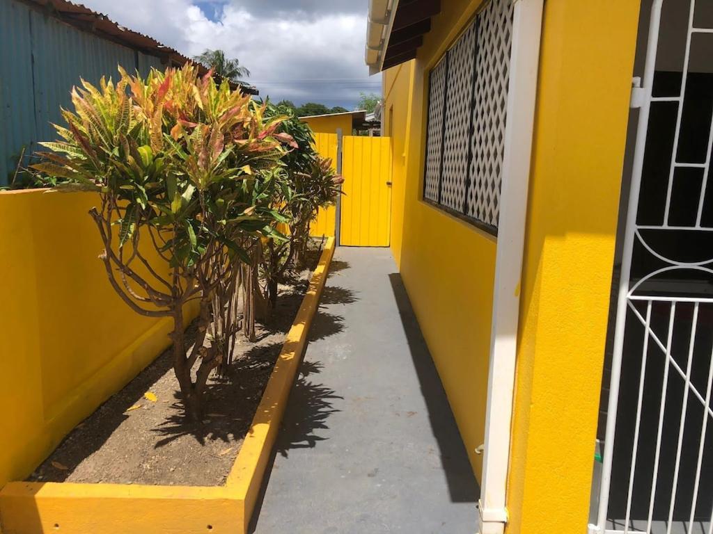 DonaMae 2 story Barbados House photo 2