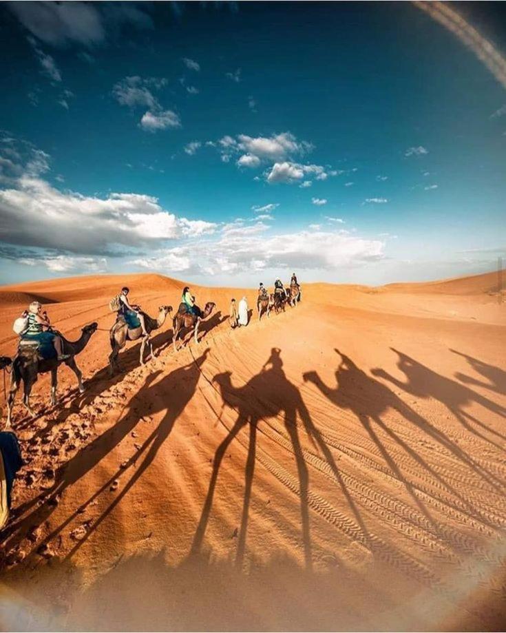 Rayan Tours