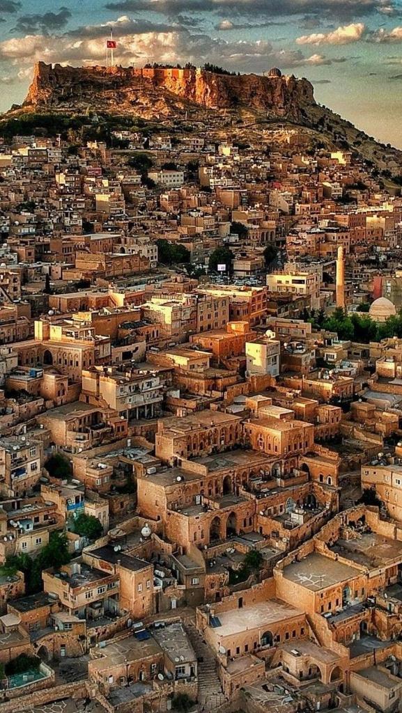 Rayan Tours photo 4