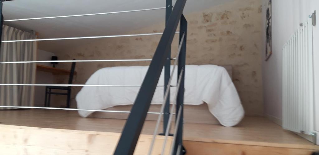 L orchidée photo 2