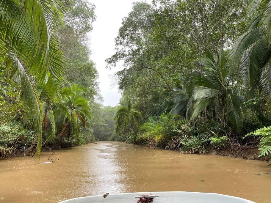 Lovely Condo closed to Manuel Antonio beach photo 1
