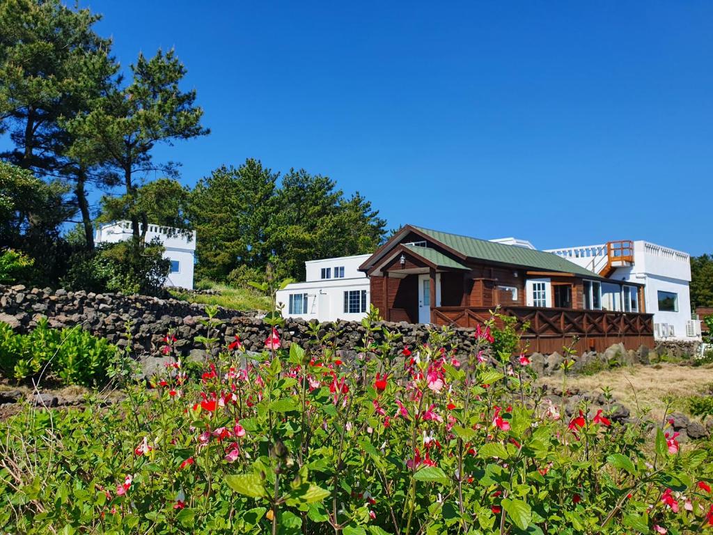 Contain Jeju-Darangswi photo 1