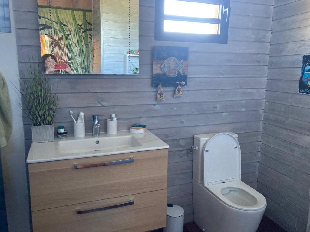 Papaye Lodge sur les flancs des Monts Caraïbes photo 4