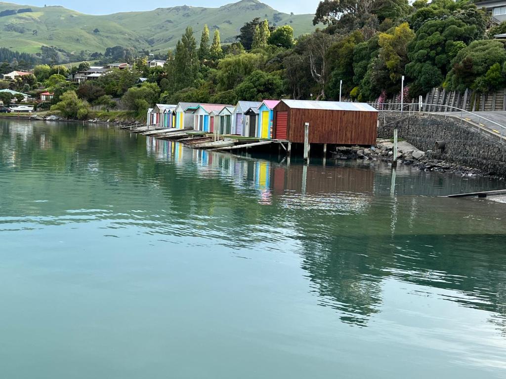 Bellbird Guest Accommodation photo 2