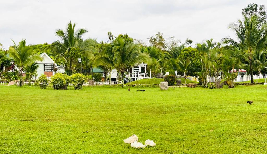 KASIH SAYANG Farmstay山下人家 photo 3