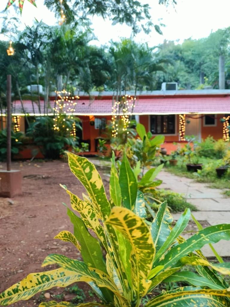 Paradise Vana Vilasa Homestay with Swimming pool photo 4
