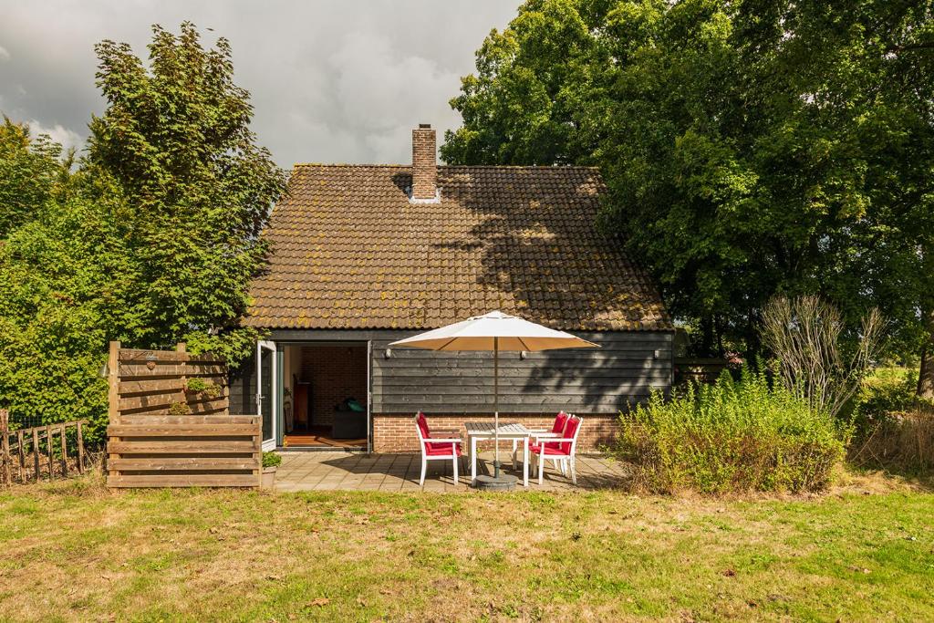 Atelier / Guesthouse Arriën - De Studio van Slim photo 4
