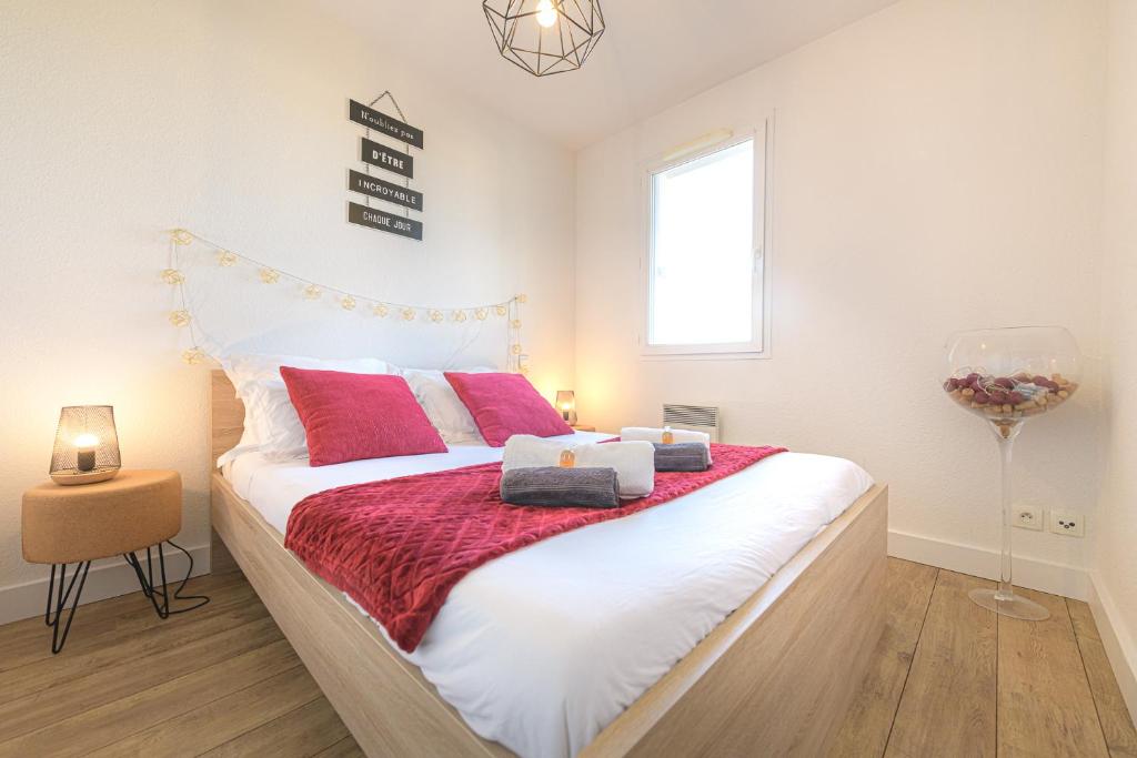 Magnifique appartement T2 rénové Aux vendanges Gaillac photo 1