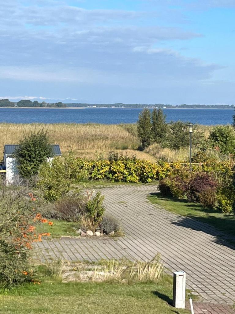 Bodden-Adler photo 3