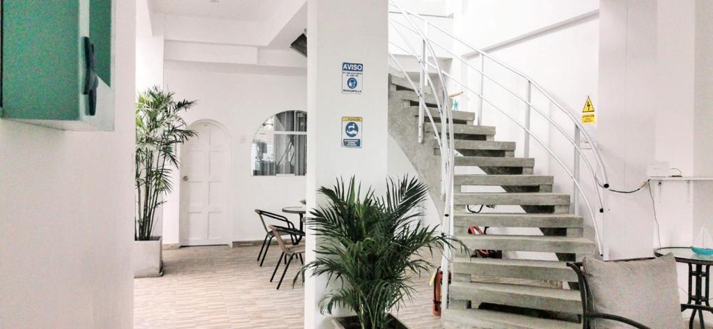 AQUAMARINE PARACAS Beach Hostal photo 4