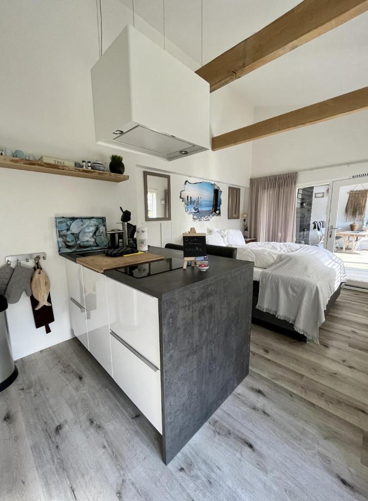 Tussenrenesseenstrand photo 2