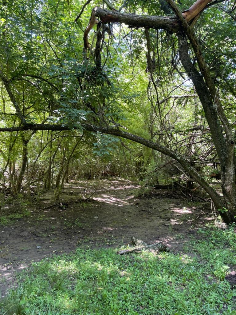 Nido del Búho ( Eule Nest) photo 3