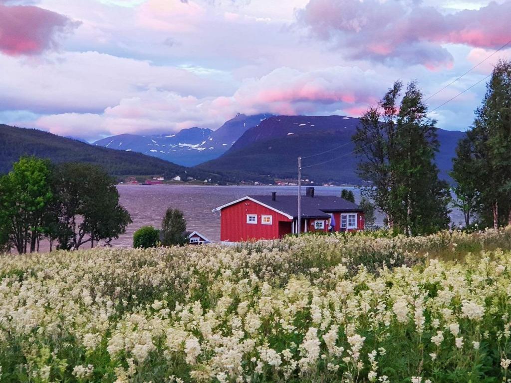 Holiday home Rossfjordstraumen photo 1