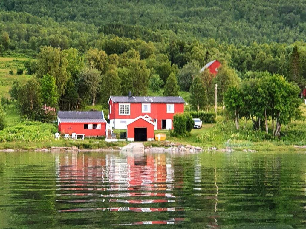 Holiday home Rossfjordstraumen photo 4