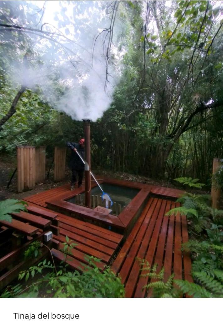Cabaña Angka Wenu photo 2
