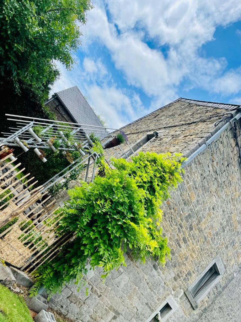 Bed § Boutique du Lapin Vert photo 2