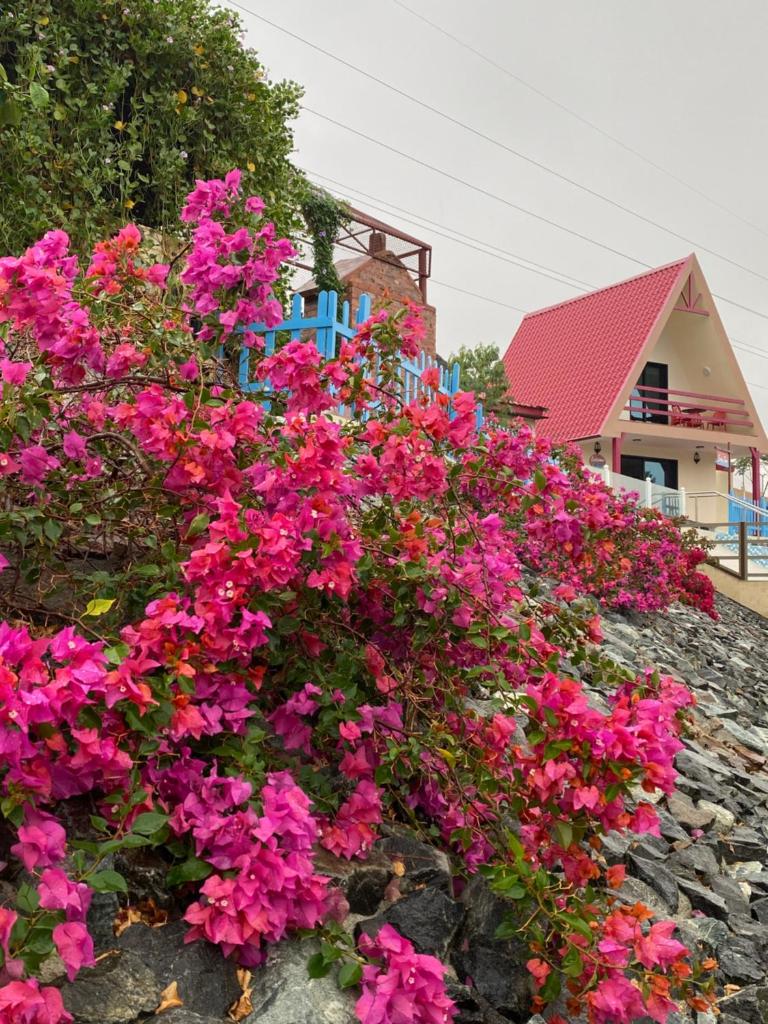 {
  "en-gb": "Red_Hut_Resort"
} photo 3