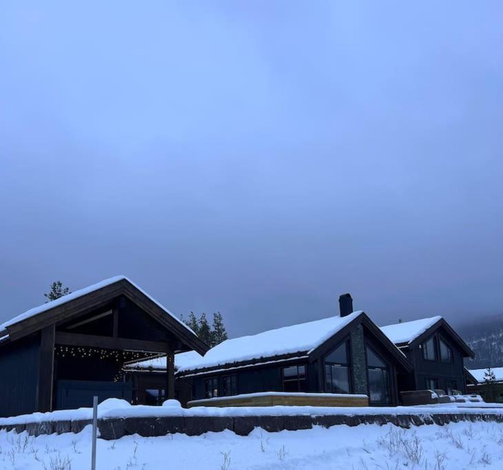 Ny eksklusiv hytte i Vrådal med perfekt beliggenhet- Alpin og ski photo 1