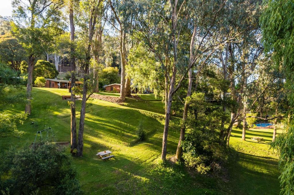 Kiewa Country Cottages photo 1