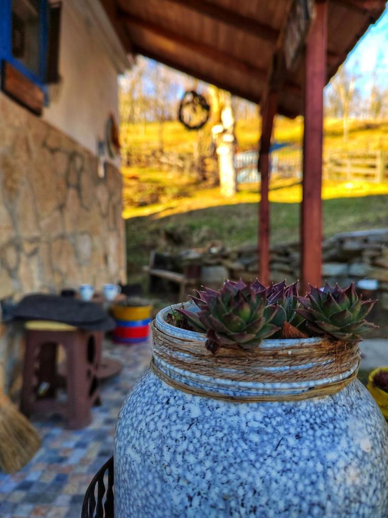 Etno kuća Parče neba photo 4