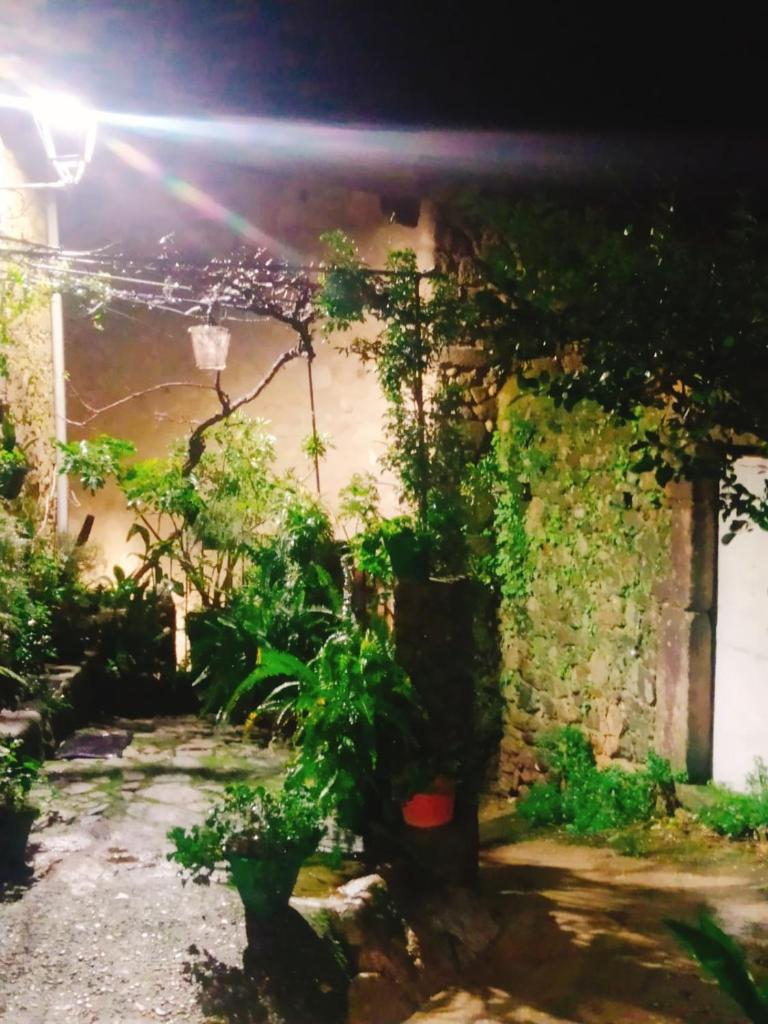 CASA RURAL LA TORRITA photo 4