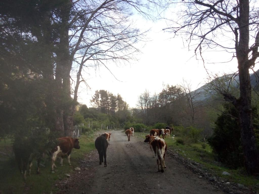 Corral del Agua photo 3
