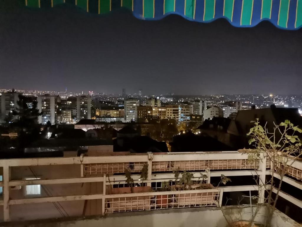 Rajana , Beograd - Hram Svetog Save photo 3