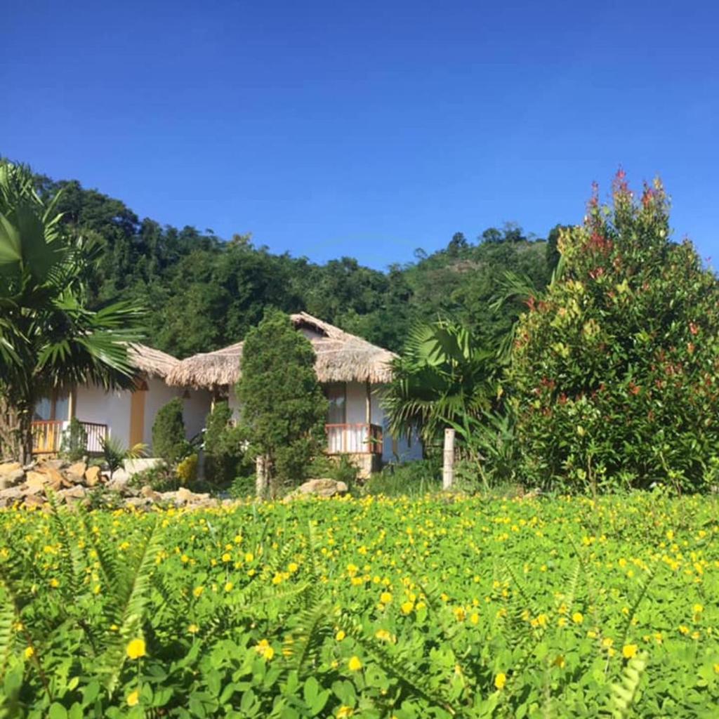 BAKHAN VIEWEST GLAMPING