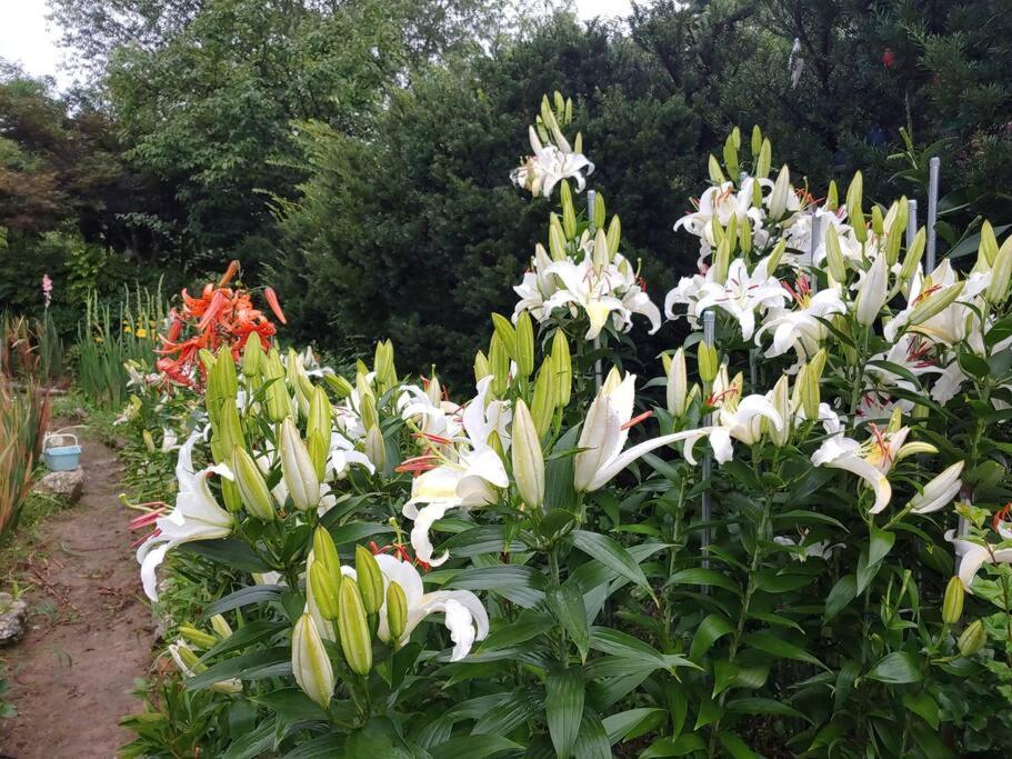 European garden house photo 4