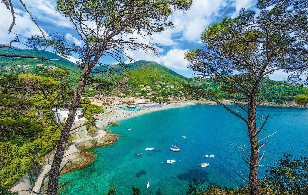 Amazing Apartment In Monterosso With 1 Bedrooms And Wifi photo 4