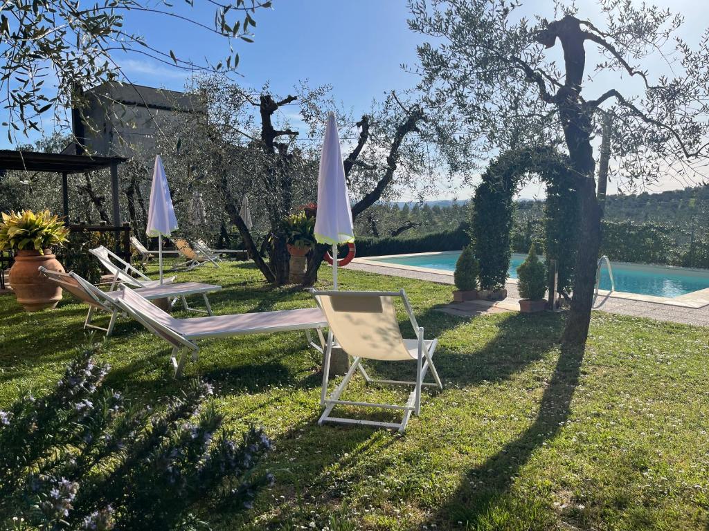 Agriturismo IL VIAIO photo 3