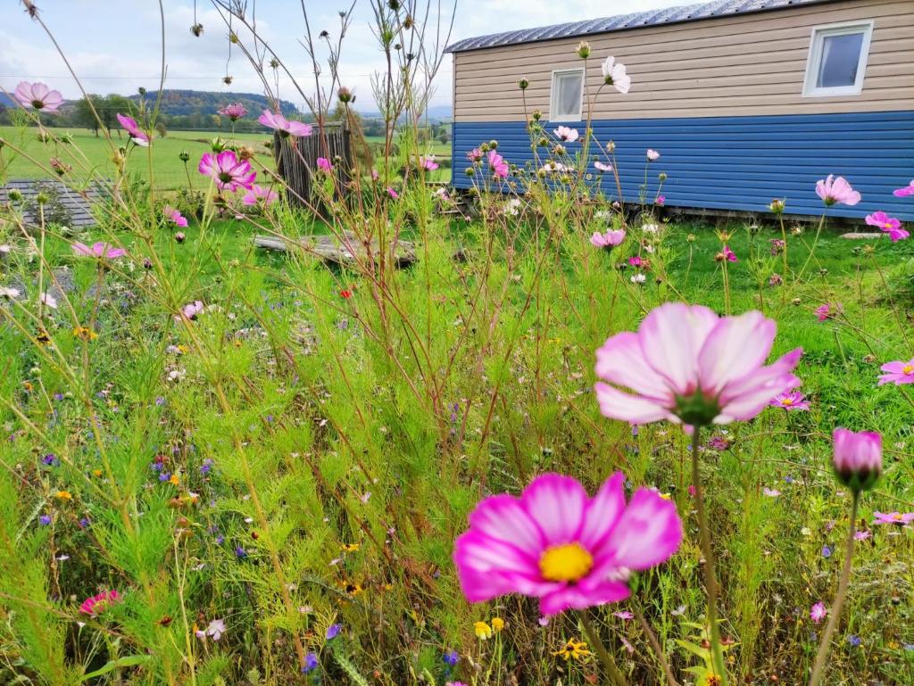 Logement insolite au cœur de l'Auvergne photo 1