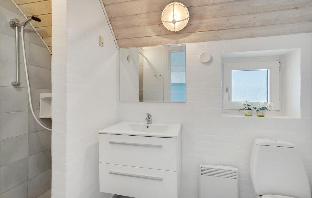 Stunning Home In Ringkbing With 4 Bedrooms, Sauna And Outdoor Swimming Pool photo 4