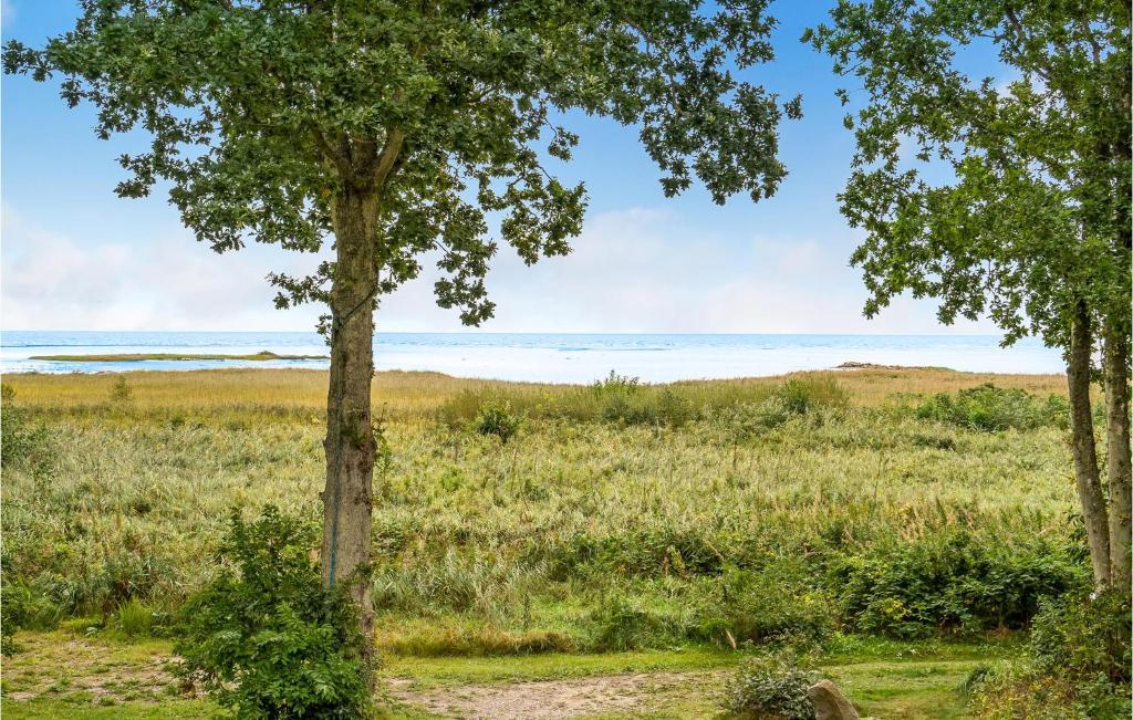 Amazing Home In Storvorde With 4 Bedrooms And Wifi
