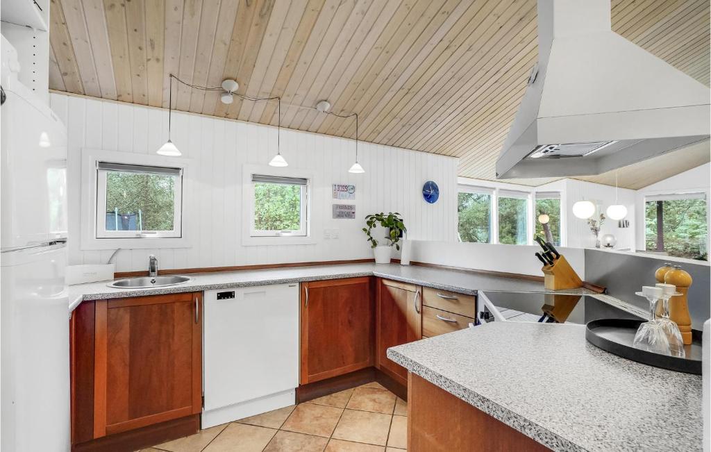 Beautiful Home In Fjerritslev With 4 Bedrooms, Sauna And Wifi photo 3