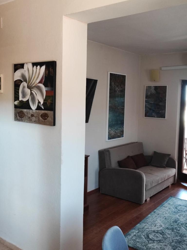 Apartmani Sovlja Bay photo 3