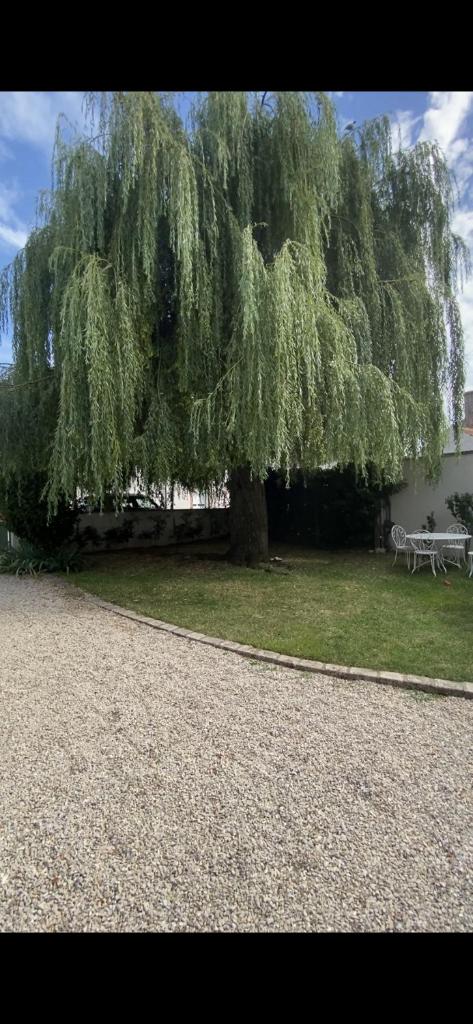 Gite des Colverts photo 3