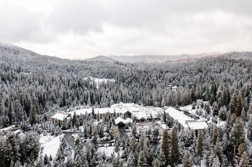 Tenaya at Yosemite image