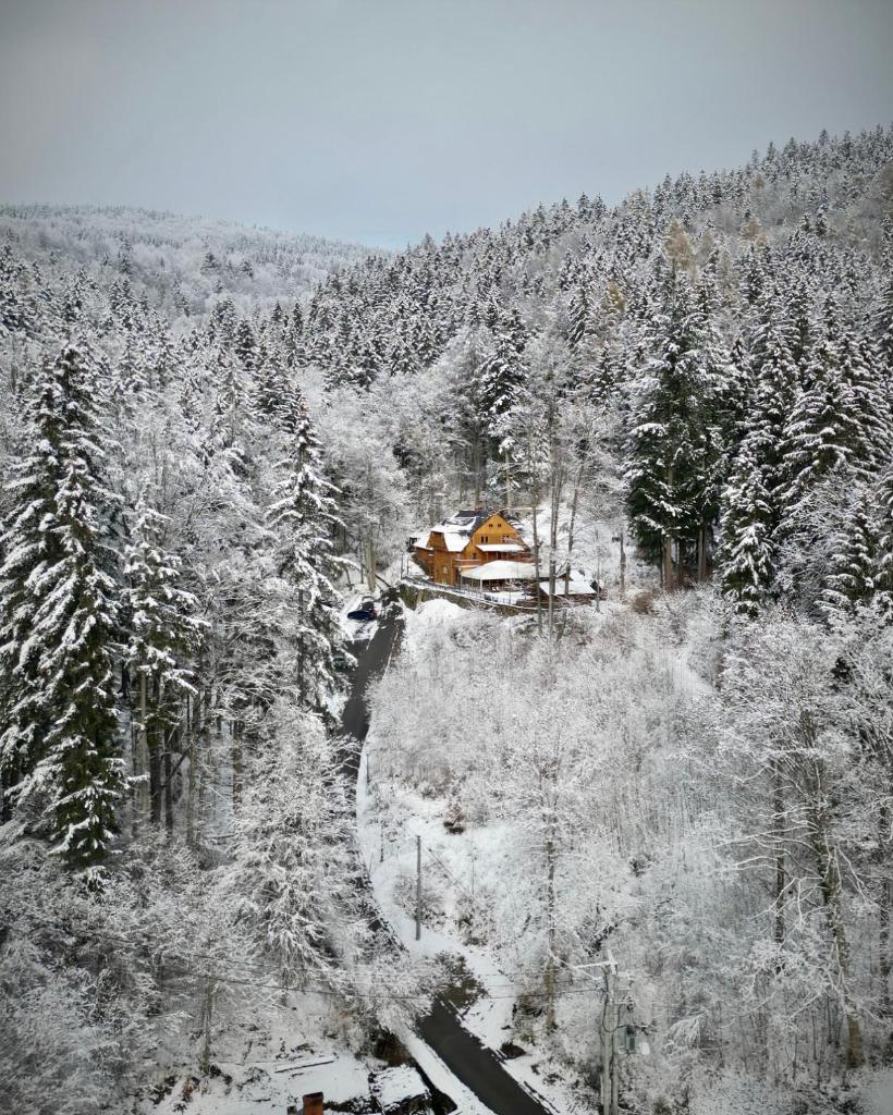 Pensjonat Alpejski Dwór photo 3