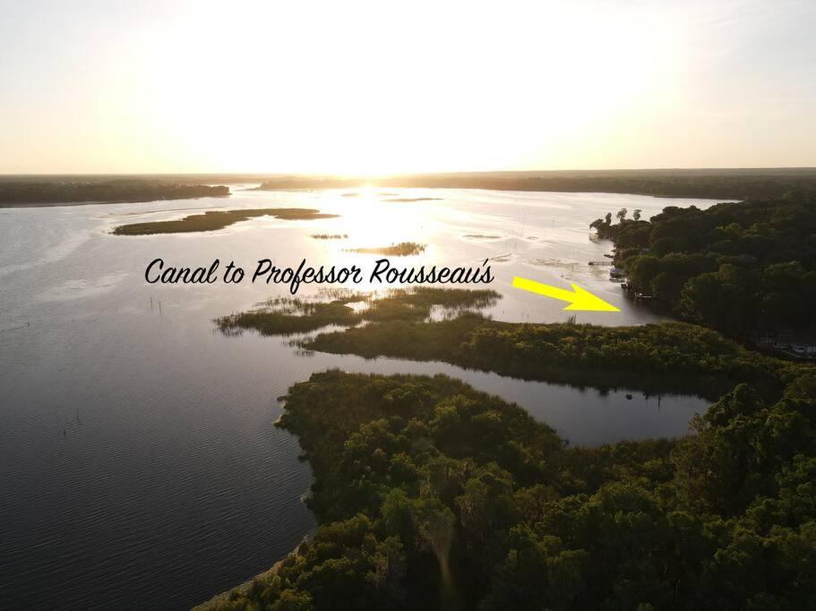 Professor Rousseau's Mermaid Lagoon photo 2