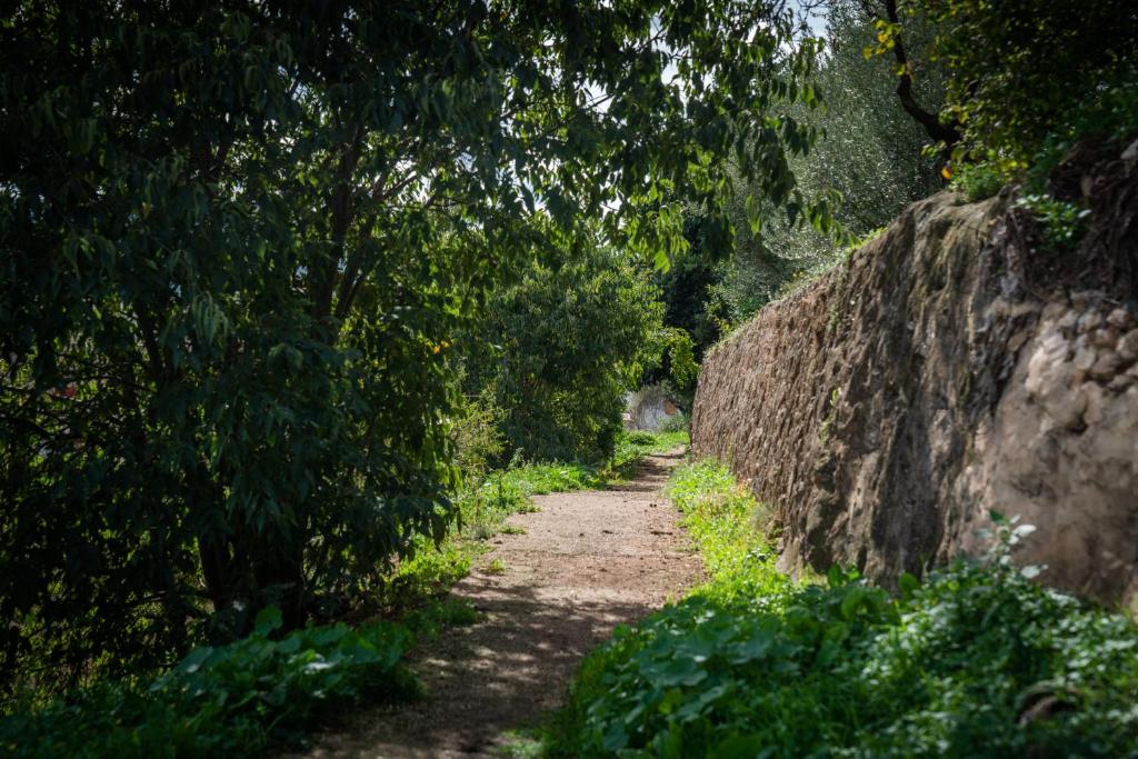 7 Pisos Casa Rural de Pueblo photo 2