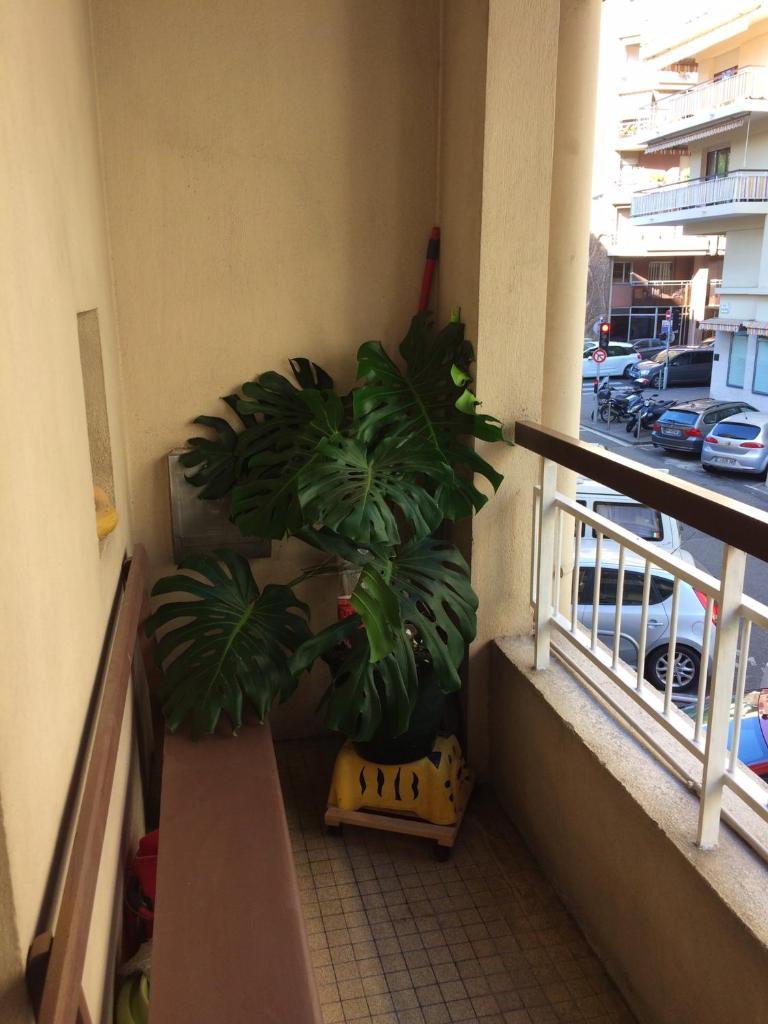 Appartement de 2 chambres avec balcon et wifi a Nice a 1 km de la plage photo 2