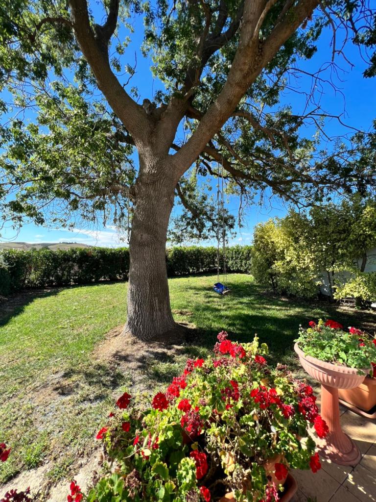 Villino in Campagna con Piscina Relax - La Casa di Teresa photo 3
