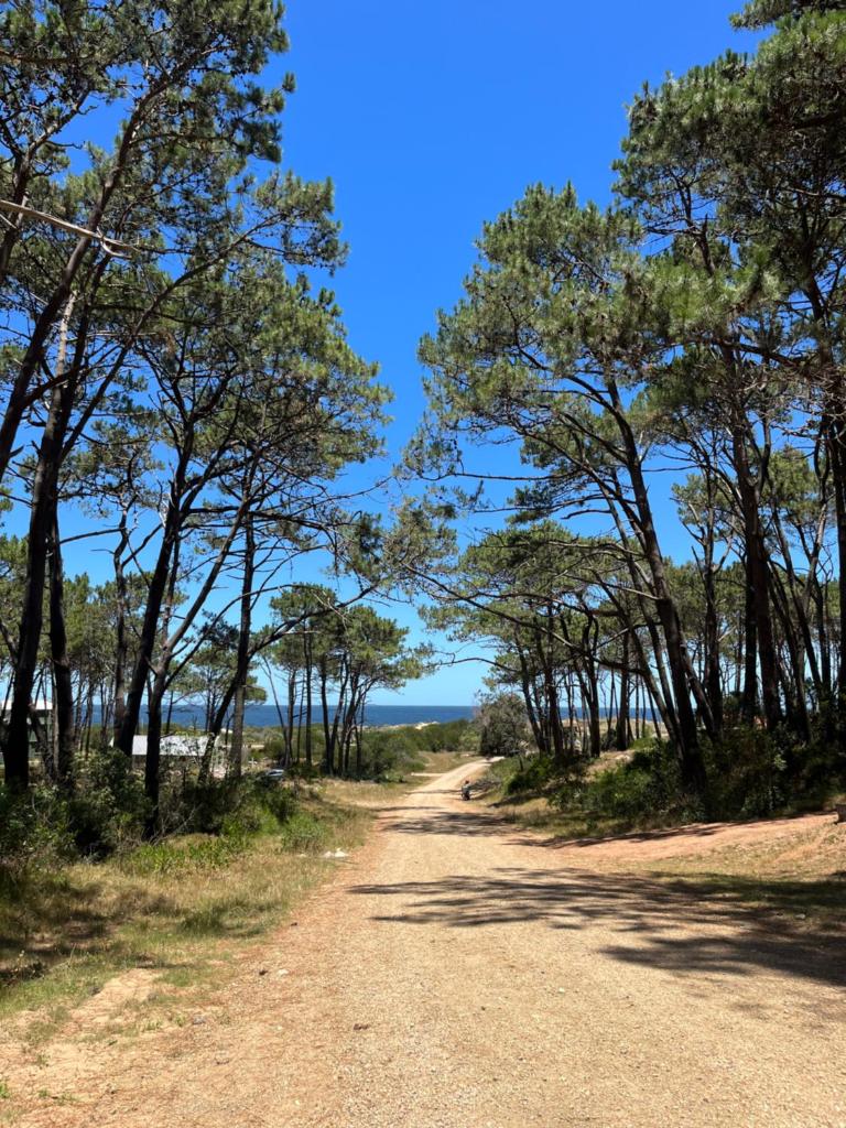 DomosdeMar photo 1