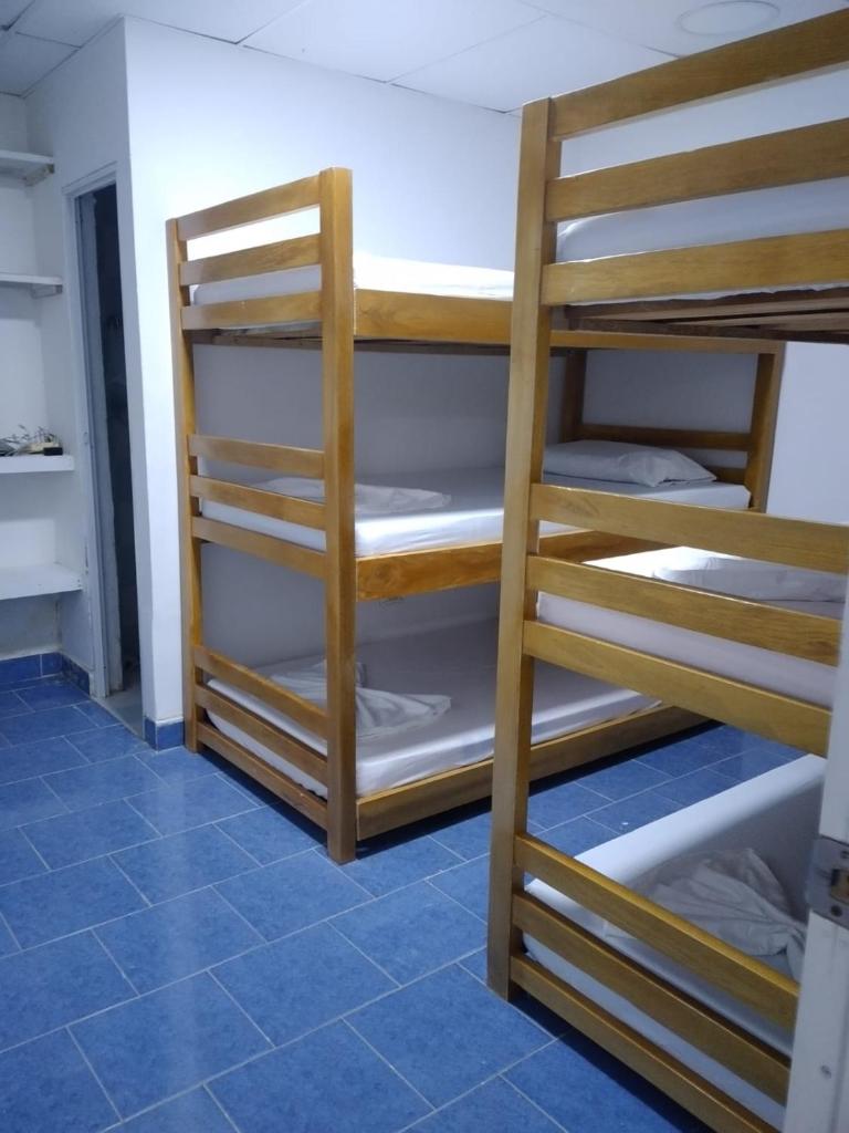 Hostal Girasoles Tolu photo 3