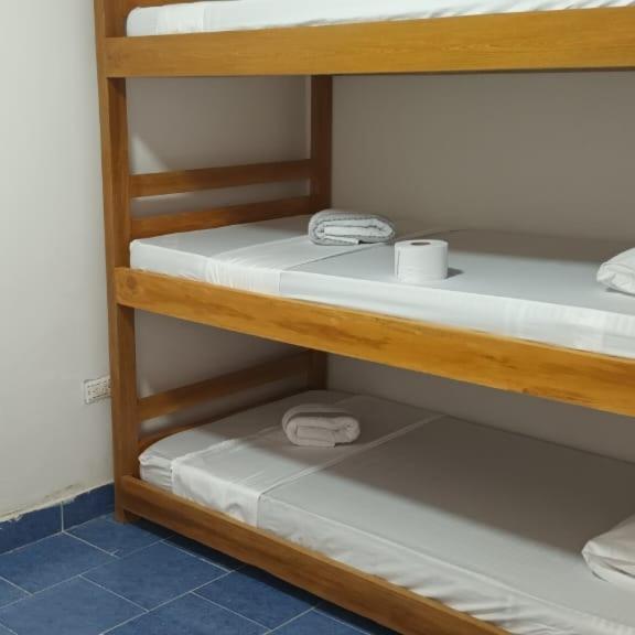 Hostal Girasoles Tolu photo 4
