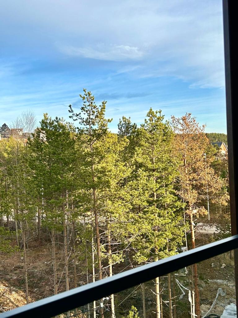 Apartman Krov Divcibare photo 2