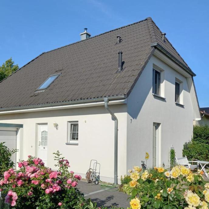 Haus-Am-See-Pratzschwitz photo 4