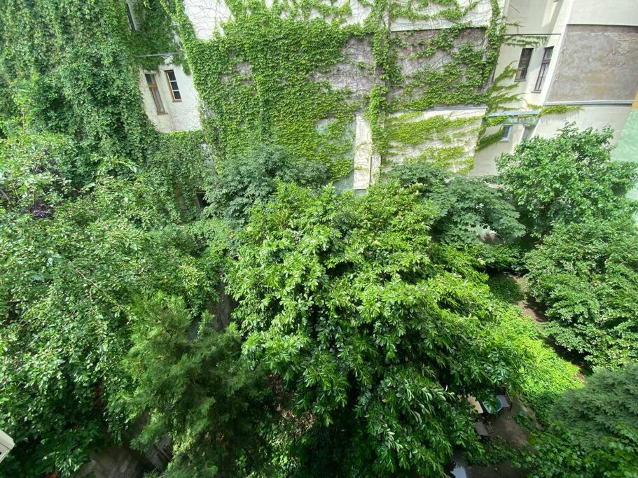 Raday street, spacious, modern apartment - Tap to explore photos